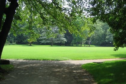Vista di un giardino privato con camminamento